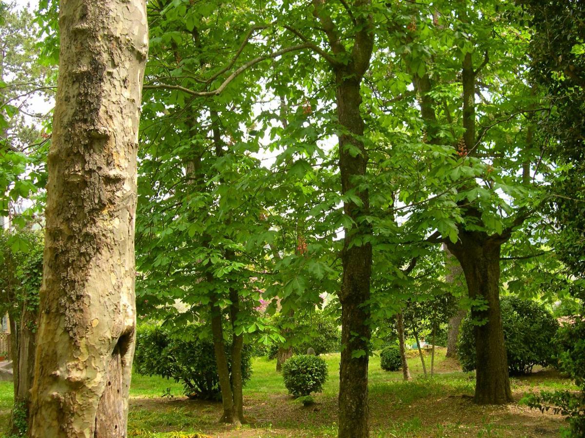 Domaine Du Parais Sospel